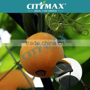 High Quality Complex Amino Acid Liquid Fertilizer thumbnail-1