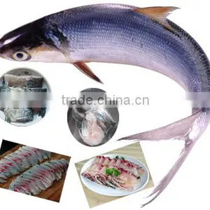 Half-dry and Fresh Fish Slice, Strips, Block, Cubes Cutter/flaked Fish Cutting Machine thumbnail-2