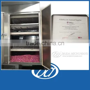Food Grade Stainless Steel Dryer Hot Air Convection Oven Vegetable and Fruit Drying Equipment thumbnail-3