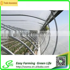 Agricultural Rodent Roof Green House for Flower thumbnail-3