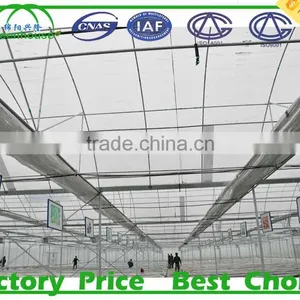 Commercial Industrial Greenhouse for Sale thumbnail-3