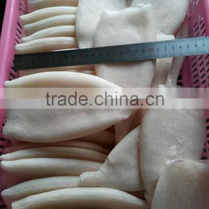 Frozen Fresh New Produced U5 Squid Tube thumbnail-3