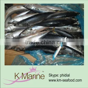 Frozen Mackerel Wr Exporter thumbnail-1