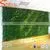 Wholesale Artificial Plastic Green Wall Plants With Garden Vertical System Green Wall Hanging Artificial Flowers for Decoration thumbnail-1