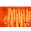 Carrot thumbnail-1