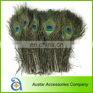 High Quality Peacock Feather Pieces FOR Decorative thumbnail-1