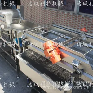 Clean Vegetable Water Washing Machine Clean Vegetable Eddy Current Cleaning Line Clean Vegetable Processing Equipment thumbnail-2