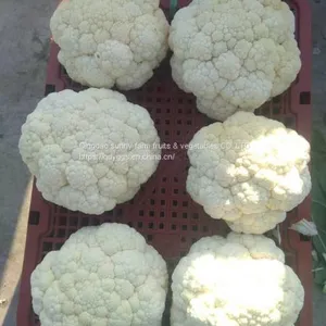 Fresh Cauliflower thumbnail-1