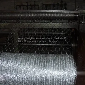 Hexagonal Wire Mesh/ Gabion Mesh/ Galvanized Hexagonal Mesh/ Pvc Coated Hexagonal Mesh/ Stainless Steel Hexagonal Mesh thumbnail-3