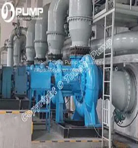 Tobee 400X-TL FGD PUMP thumbnail-1