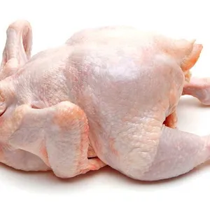 2021 Best Sale A Grade Quality Halal Frozen Chicken Meat thumbnail-5
