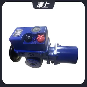 Bernard Intelligent Adjustment Electric Actuator AS-25/K30Z Angle Stroke Valve Device thumbnail-3