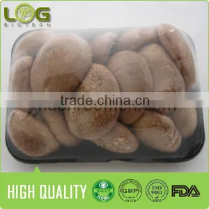 Hot Sale Smooth Surface Fresh Shiitake Mushroom thumbnail-2