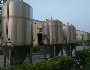 SUS304 Craft Beer Brewing Equipment 20bbl With Carbonation Stone PLC Control thumbnail-1