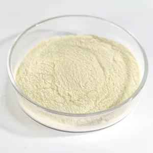 High Activity Freeze-dried Lactobacillus Plantarum Powder Food Grade Bulk Probiotics for Gut Health Supplements & Food Industry thumbnail-2
