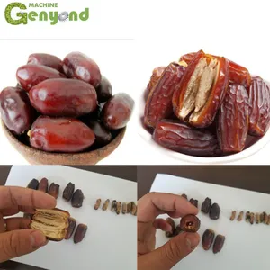 Automatic Dates Pitter Machine/Date Pitting Processing Machine/Date Seed Removing Machine thumbnail-5