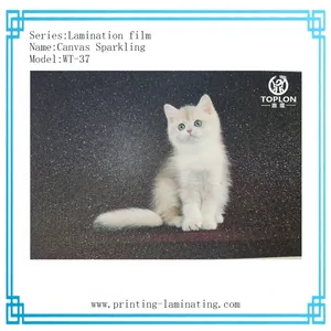 Canvas Sparkling/WT-37: Photo Protection Film Cold Lamination Film for Wedding Album Wedding Frame Wall Frame Laminated Roll thumbnail-1