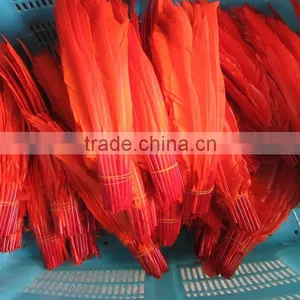 Wholesale Goose Nagoire White Goose Feathers thumbnail-1