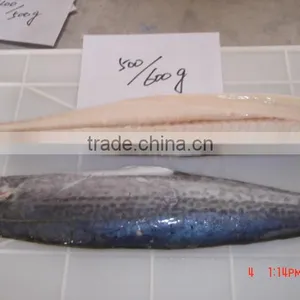 Spanish Meckral Fresh Fish thumbnail-1