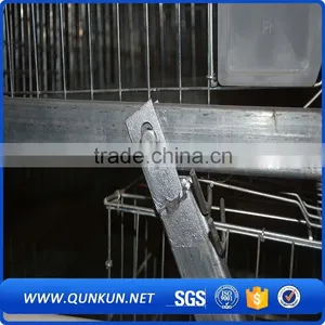 Egg Production Project Poultry Farming Equipment A Type Design Layer Chicken Cage for Sale thumbnail-4
