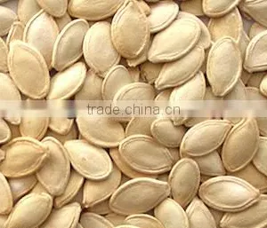 2015 Shine Skin Pumpkin Seeds, Lady-nail Pumpkin Seeds thumbnail-1