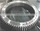 Slewing Ring for Tower Crane thumbnail-1