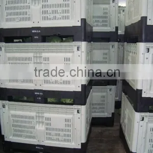Collapsible Fruit Picking Bin thumbnail-2