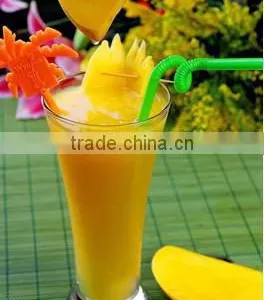 Fruit Pulp Extractor Machine on Sale thumbnail-2