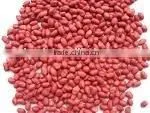 Chinese Peanut thumbnail-1