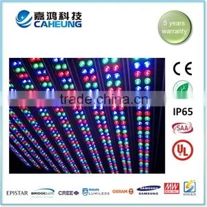 RGB Full Colors IP65 LED Wall Washer 36W Light Lighting Distance 15 Meters Quality Choice thumbnail-3