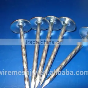 Stainless Steel Umbrella Head Roofing Nail With Washer thumbnail-1