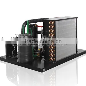 Low Temperature Cold Room For Fish/Meat Storage (-20 Degree) thumbnail-6