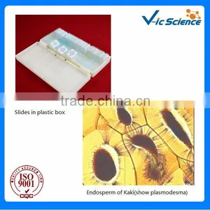 Cell Biology and Medical Science Prepared Microslides Secs Slides From Factory thumbnail-1