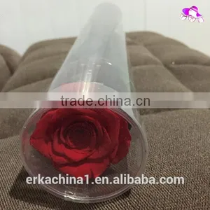 Natural Preserved Roses With Stems thumbnail-3