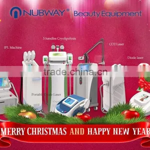 Big Promotion!!protable Professional Micro-needle rf Fractional Micro Needle for Sale thumbnail-1