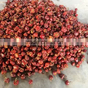 Round Red Chille Pepper thumbnail-4