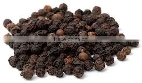 Black Pepper Indonesia thumbnail-2