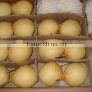 New Crop ya Pear Yellow Fruit From China thumbnail-3