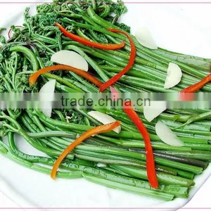 Salted Bracken(warabi) thumbnail-4
