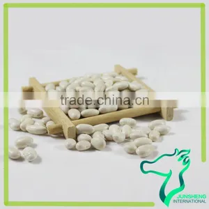 Wholesale Chinese Supply All Types Of White Kidney Beans thumbnail-3