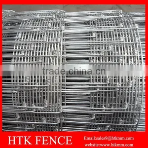 HTK Factory HOT SALE 10cm x 10 cm Small Animal Fence For Chicken thumbnail-4