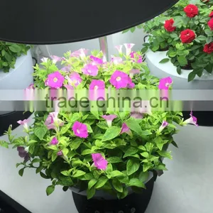HIGH Quality Garden Expanded Clay Balls (leca) Lightweight Expanded Clay Aggregate,On Sale thumbnail-2