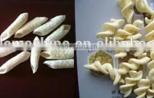 Food Making Machines for the Production of Pallets and Corn Chips thumbnail-2