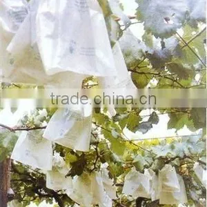 Paper Fruit Protecting Bag for Grape thumbnail-1