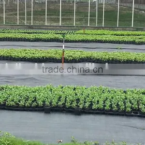 Agrotextile Ground Covers thumbnail-4