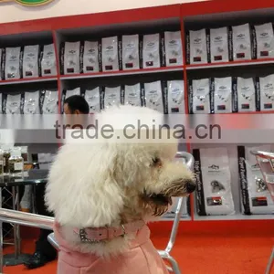 Professional Dog Food thumbnail-3