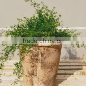 Outdoor Terracotta Garden Pot thumbnail-1