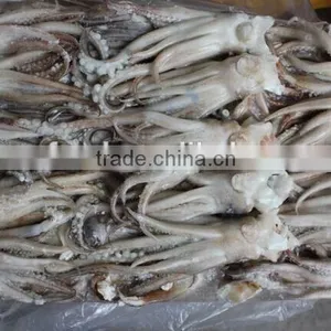 Squid Head With Frozen thumbnail-3
