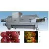 Grape Squeezing Machine thumbnail-1