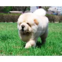 Test Image Upload thumbnail-3